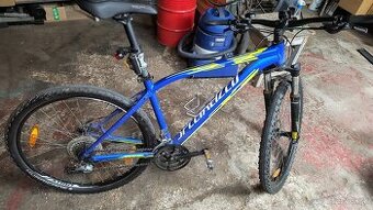 specialized