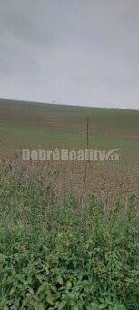 EXKLUZIVNE na predaj orná pôda Nitra - Kynek, ulica Na Doli