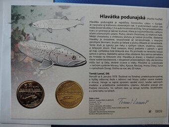 Autorská karta 5€ - Hlavátka podunajská