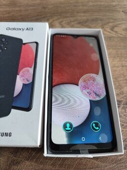Samsung Galaxy A13 (SM-A137F/DSN)