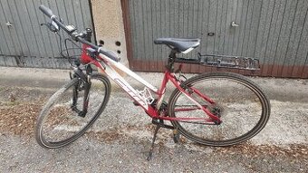 CTM LADY CROSS SPORT