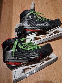 Bauer vaporx2,7