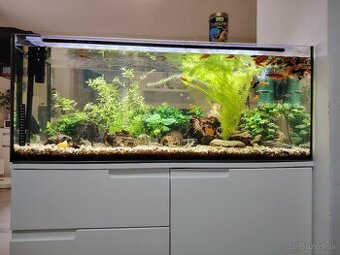 Predám 160l akvárium