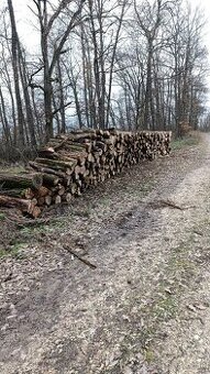 Palivové drevo dub/agát