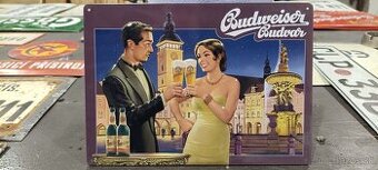 Cedula 1,tabula ,plech