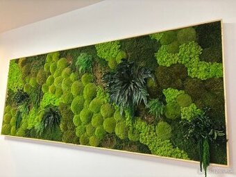 Machový obraz - rastliny