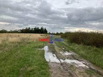 Neobrábaný vinohrad 30 árov Modra, šírka 19 m, lokalita Gref
