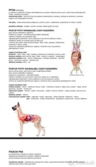 materialy na studium veterinarnej strednej skoly