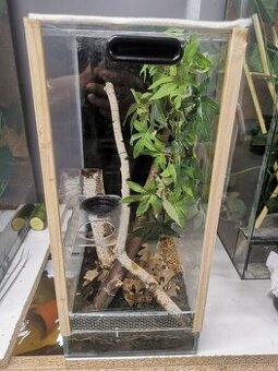 Terarium