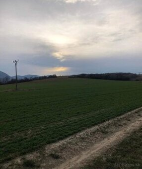 Orná pôda na predaj Bystré nad Topľou (16316m2 +719m2)2