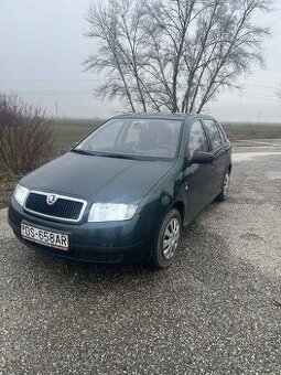 Fabia1