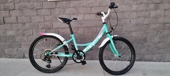 Bicykel Ctm 20" pinkgreen