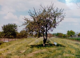 ZÁHRADA 6 árov 5 km za automobilkou LAND Rover v obci Čab