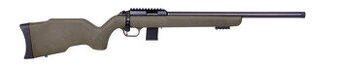 DIANA R-22 Carbon