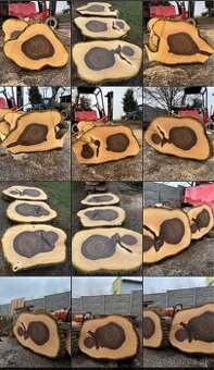 Priečne Rezy Kmeňom Orecha Orechové Rezivo Koláče Drevo