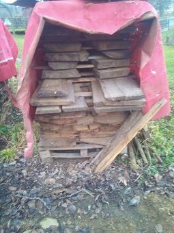 Rezivo dub agat orech