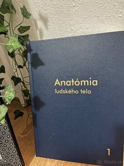 Anatómia Mráz