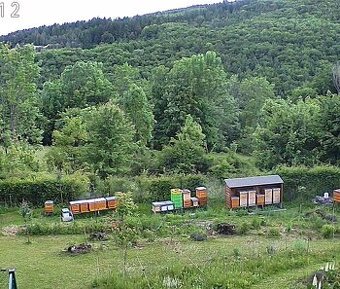 Včely - Včelie odložence