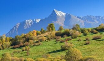 65.000 m2 lesov priamo v TANAPe, pod Roháčmi