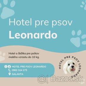 Hotel pre psov | Škôlka pre psov - 1