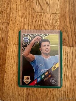 FIFA 365 MOMENTUM FUTBALOVÉ KARTIČKY KARTY