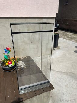 Terarium