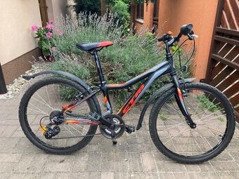 CTM Rocky 1.0 Junior
