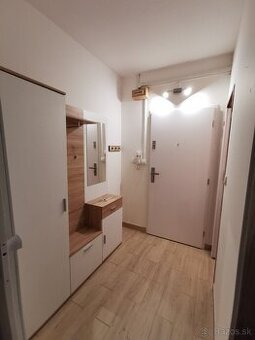 Na prenajom 1 izbovy byt