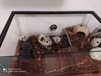 Terarium 50x30x25 cm