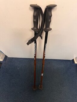 Predám lyžiarske zjazdové  palice zn Rossignol