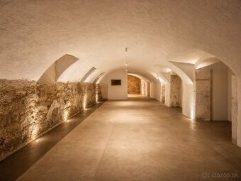 Priestor na predaj -herňa,centrum pre zdravie,.... Fejova ul