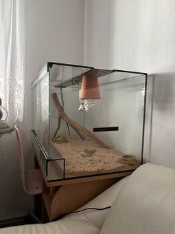 Terarium - 1