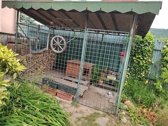 Koterec pre  psa  ,  voliera .