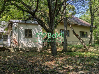 Znížená cena Dva Domy na samote v krásnej prírode Stará Turá