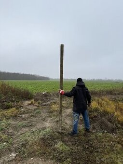 Predám betónové stĺpy