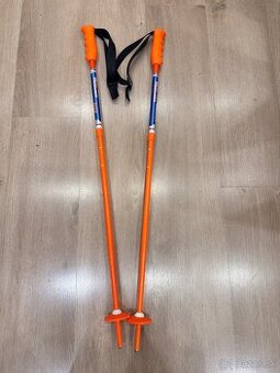 Lyžiarské palice nadstaviteľné