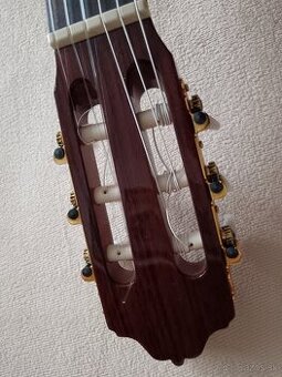 Gitara ESTEVE