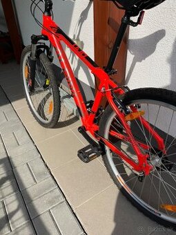 bicykel alpina