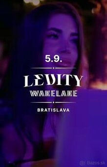Wakelake Levity Summer Closing VIP