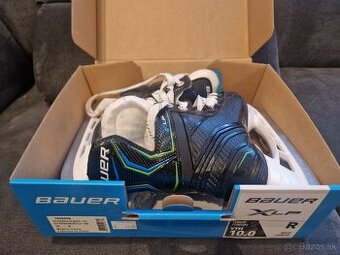 Bauer