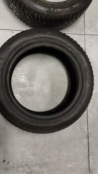 Zimné 225/55/17