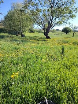 Ponúkam  peknú , veľkú ,  záhradu