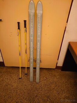 Lyže 140