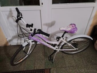 Bicykel dievcensky
