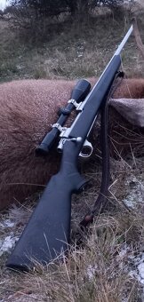 Howa 1500 stainless steel
