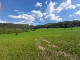 Predam rekreačne  pozemky pri obci Pruzina