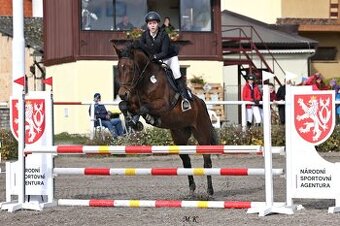 KOBYLKA NA AKTIVNÍ REKREACI / HOBBY SPORT