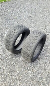 Nokian 225/50 R17 Zimné (2ks)