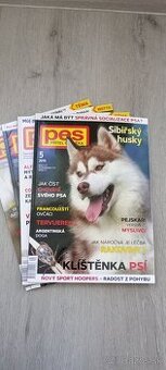 Pes přítel člověka