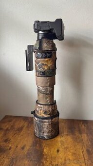 Canon eos RP + Sigma 150-600 Sport
